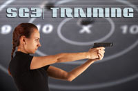 Sirius Group Training Product Image